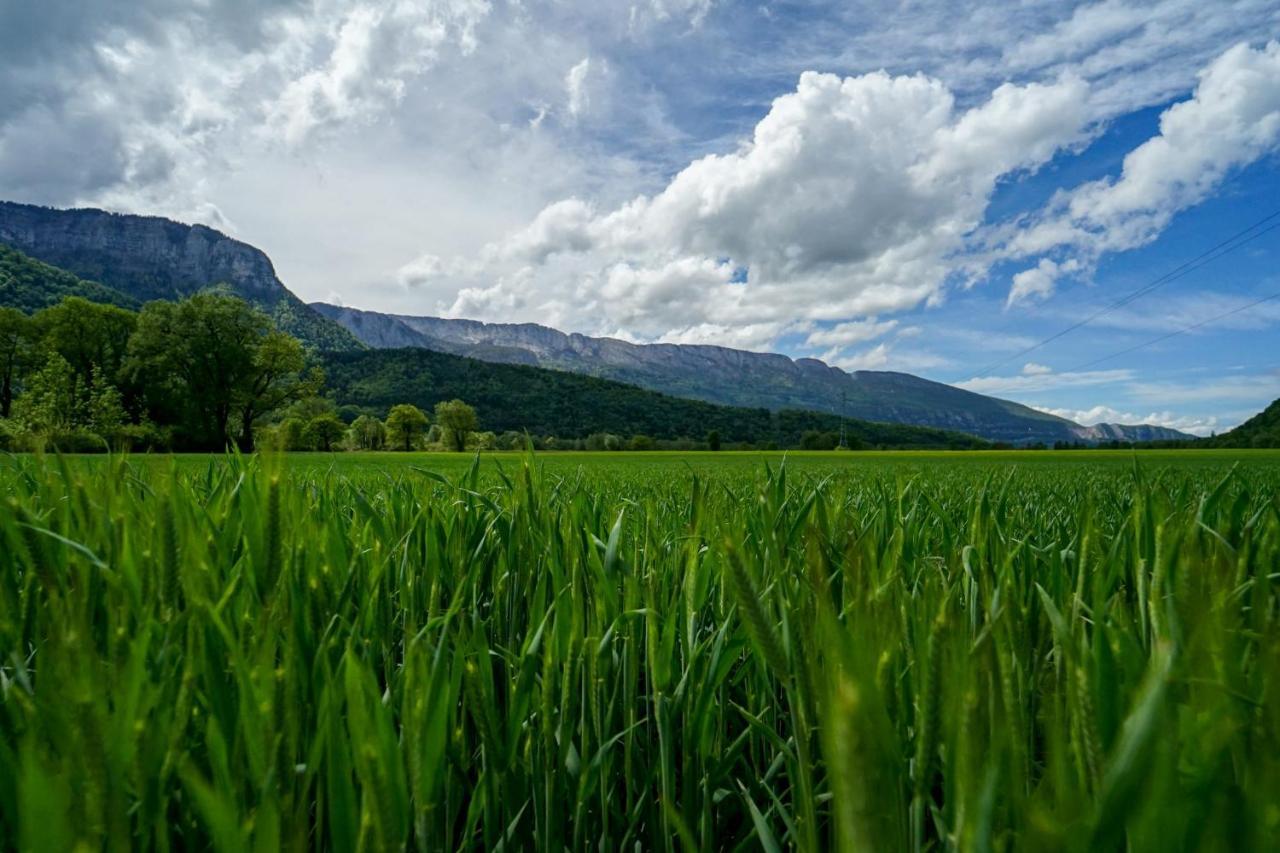 Les Aravis - Apartment For 6 People 5Min From The Lake Giez Exterior photo